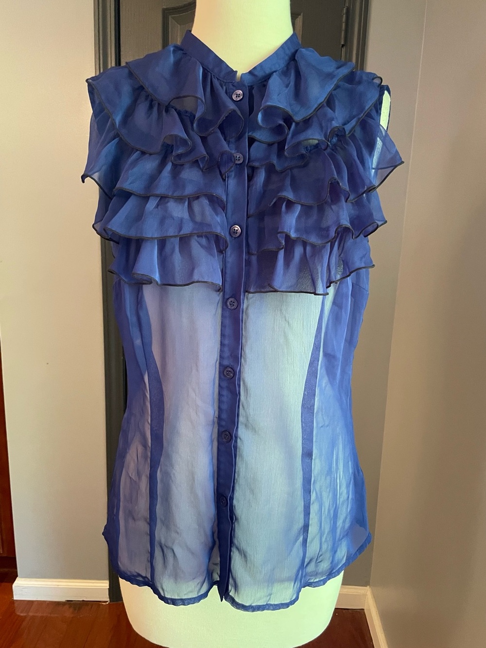 Limited Sheer Ruffle Blur Sleeveless Blouse